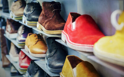 THE IMPORTANCE OF INSOLE RESEARCH IN FOOTWEAR DESIGN AND DEVELOPMENT