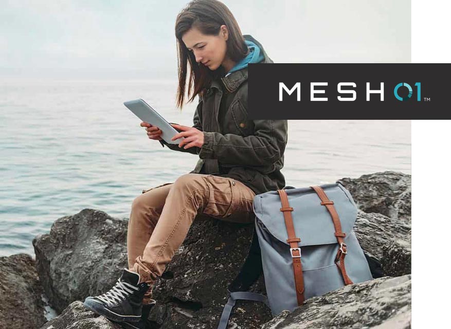 Mesh01 product tester